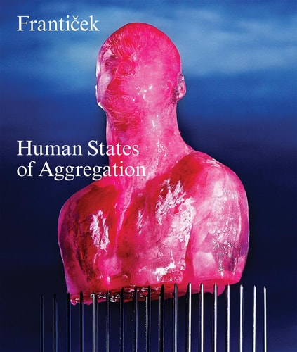 Franticek--Human States of Aggregation I Melt, Therefore I Am! by Franticek Klossner