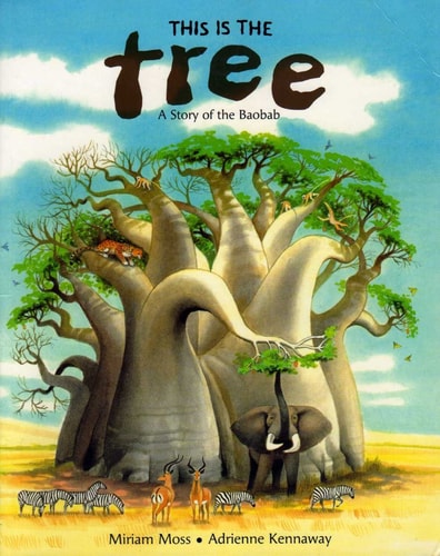 This is the Tree A Story of the Baobab (shelfworn) by Miriam Moss