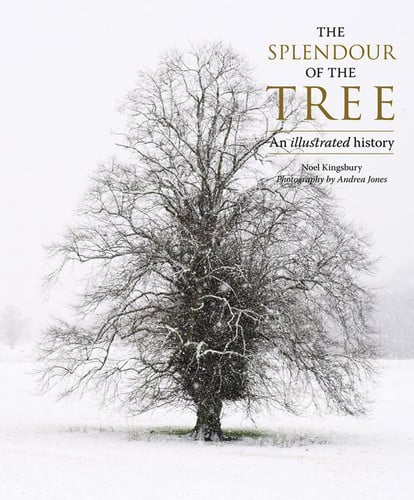 The Splendour of the Tree An Illustrated History (shelfworn) by Noel Kingsbury