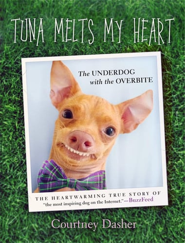 Tuna Melts My Heart The Underdog with the Overbite by Courtney Dasher