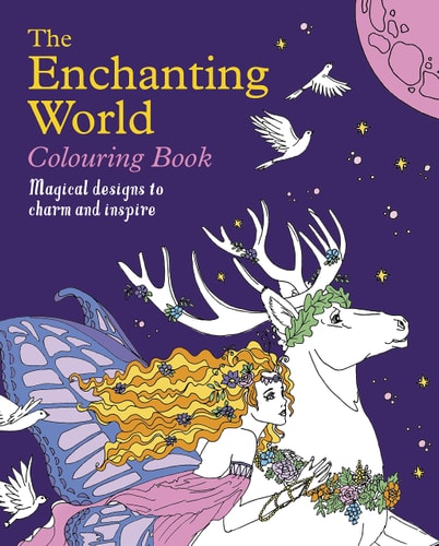 Enchanting World Colouring Book Magical Designs to Charm and Inspire by Tansy Willow