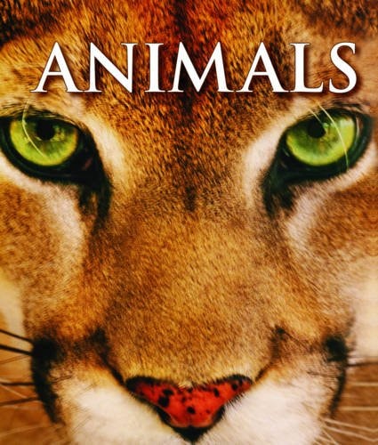 Animals by Igloo Books