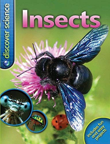 Insects by Taylor, Barbara