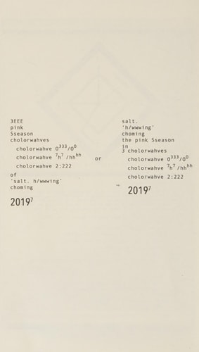 Salt (shelfworn) by Nayyirah Waheed