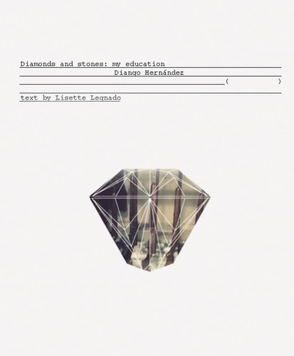 Diango Hernandez: Diamonds and Stones: My Education (shelfworn) by Lisette Hernandez