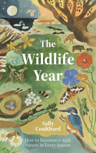 The Wildlife Year: how to reconnect with nature through the seasons by Coulthard, Sally