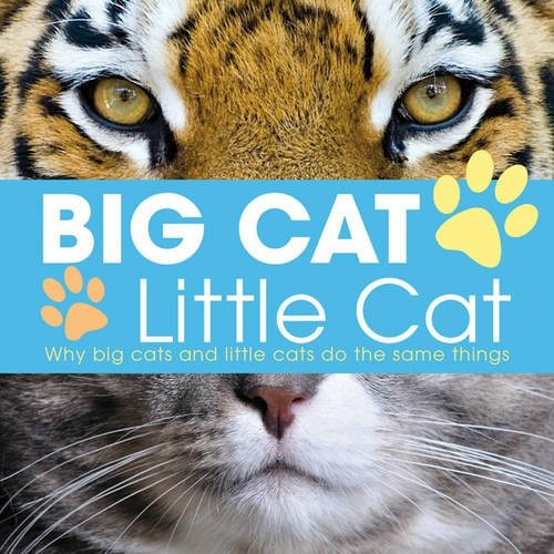Big Cat, Little Cat by Lisa Regan