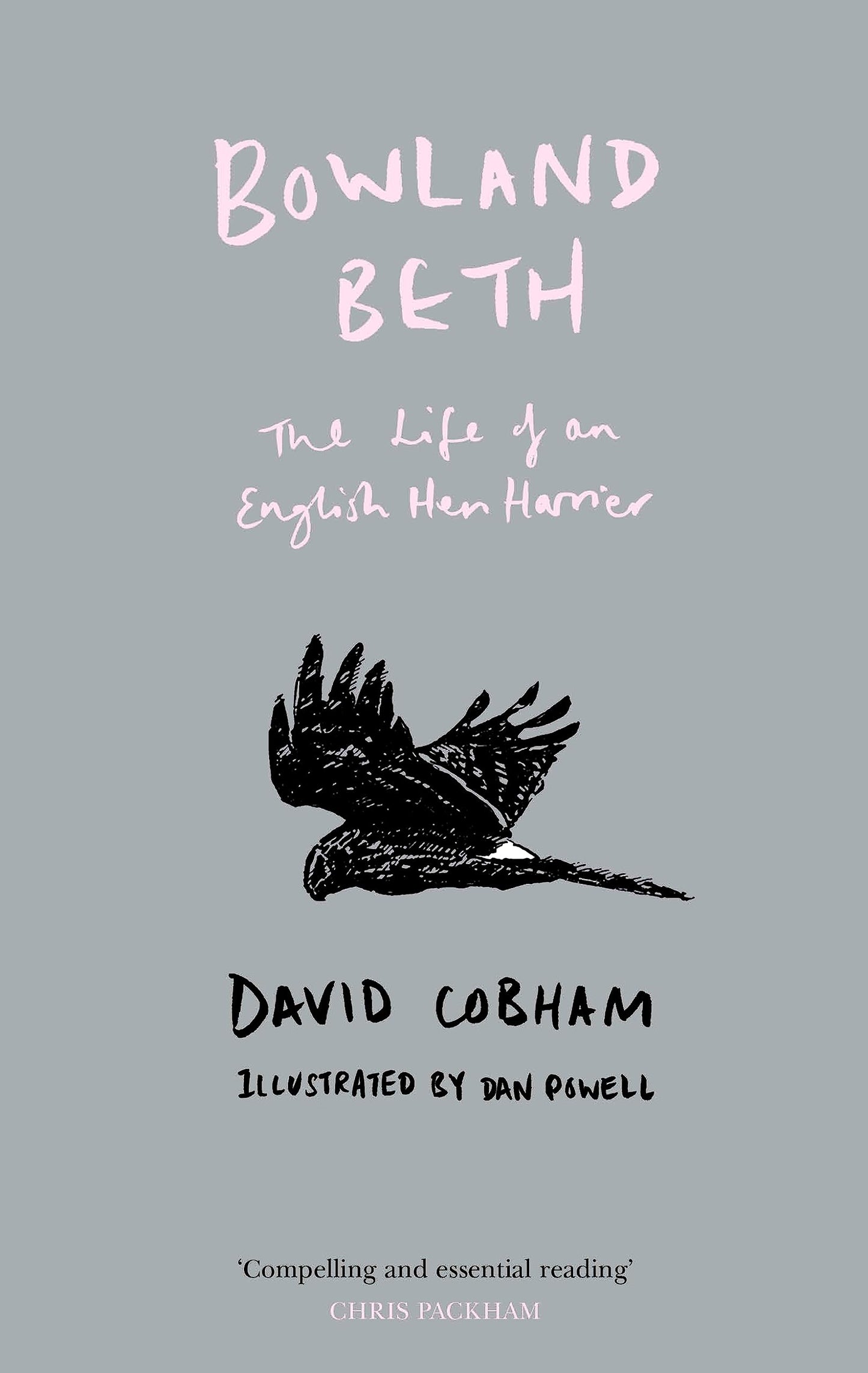 Bowland Beth: The Life Of An English Hen Harrier (Shelfworn) by David Cobham