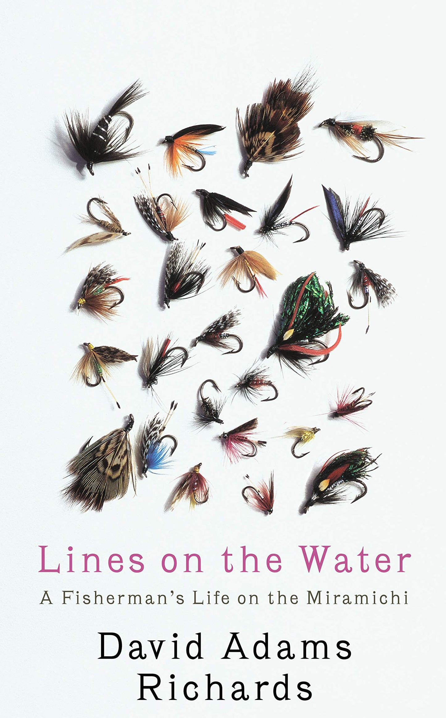 Lines On The Water (nicht USA) von David Adams Richards