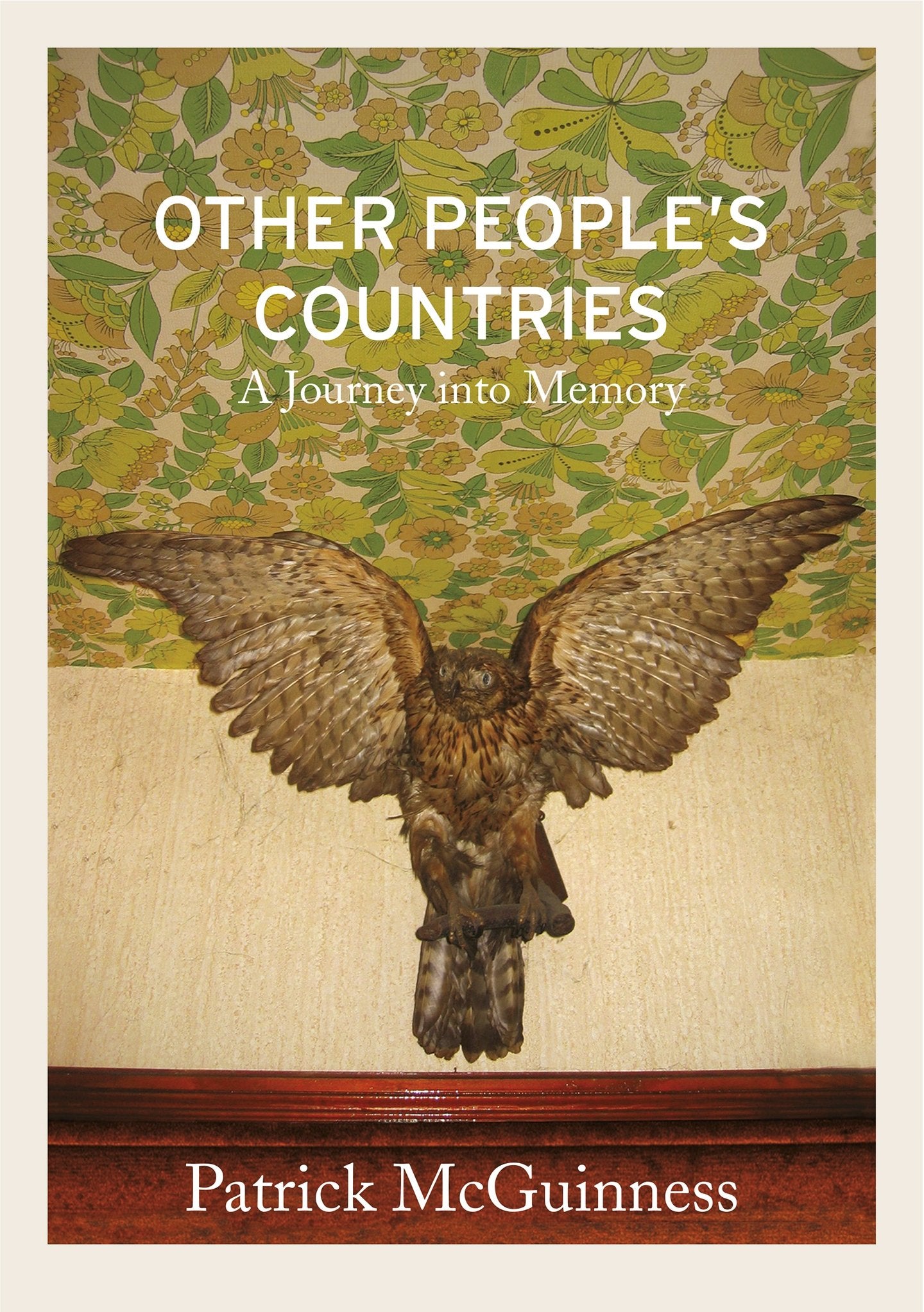 Other People's Countries: A Journey Into Memory by Patrick McGuinness