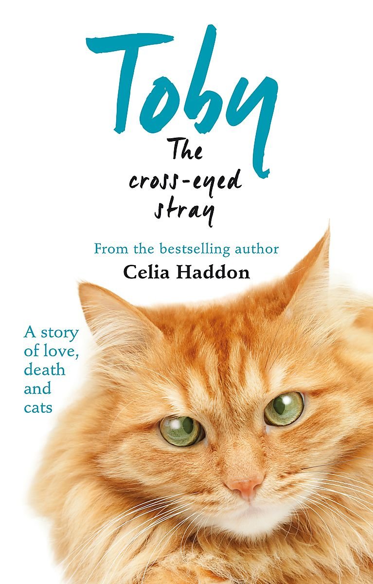 Toby, der schielende Streuner von Celia Haddon
