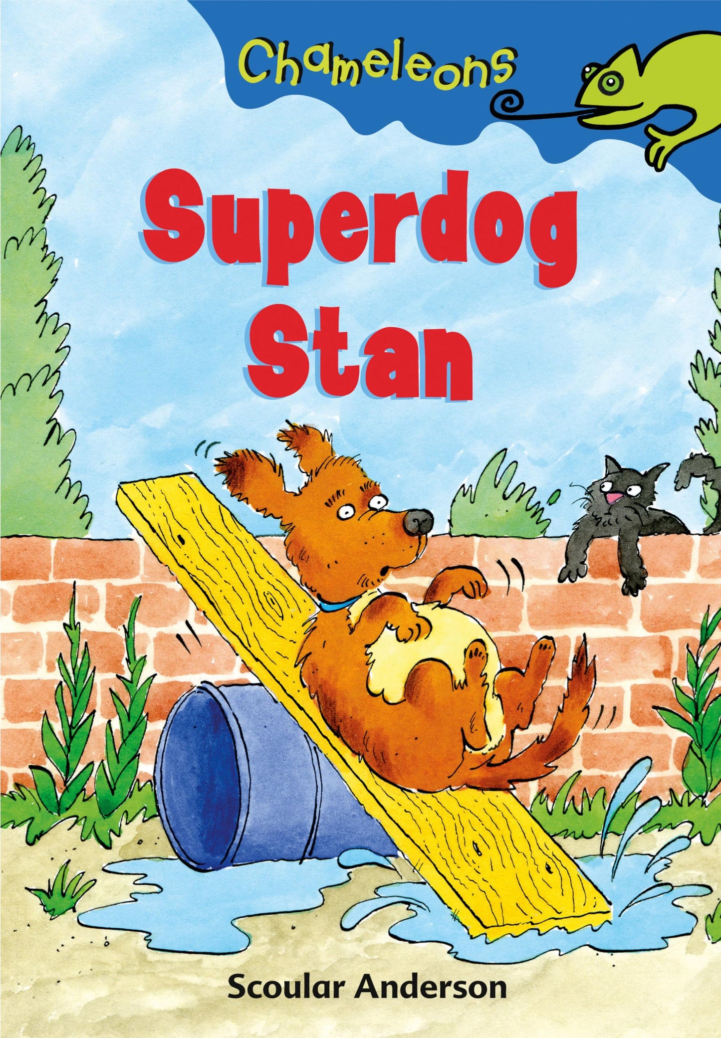 Superdog Stan von Anderson, Scoular