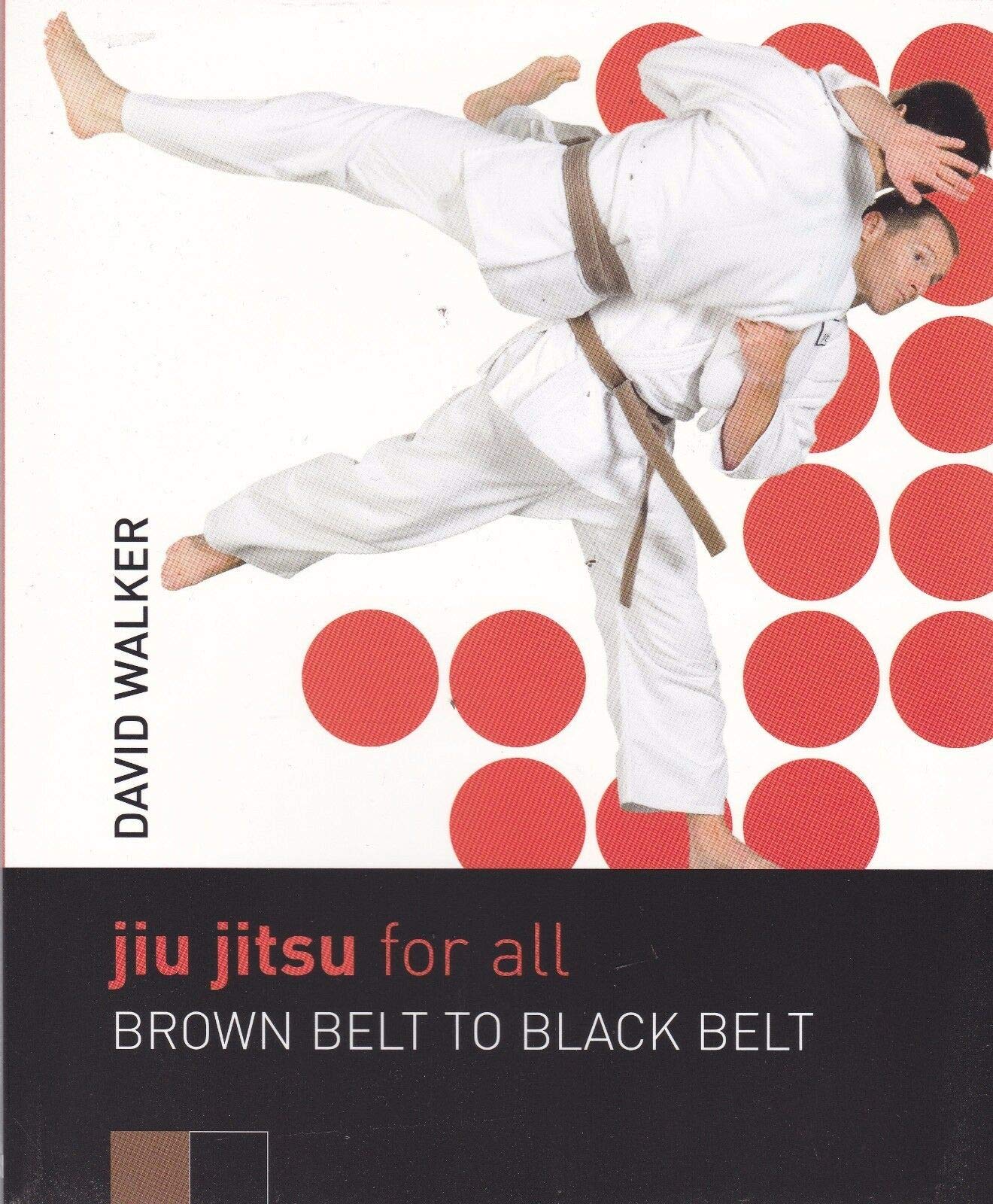 Jiu Jitsu für alle – Vom Braungurt zum Schwarzgurt von David Walker