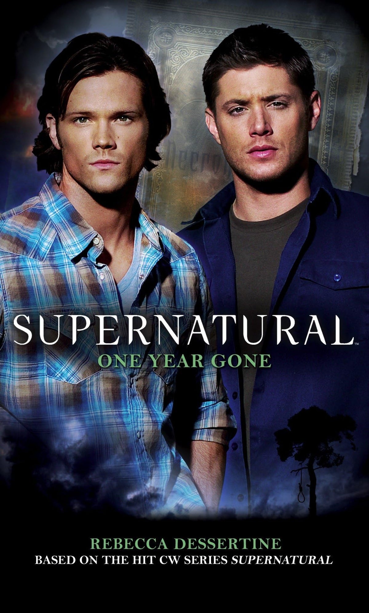 Supernatural: Ein Jahr vergangen von Rebecca Dessertine
