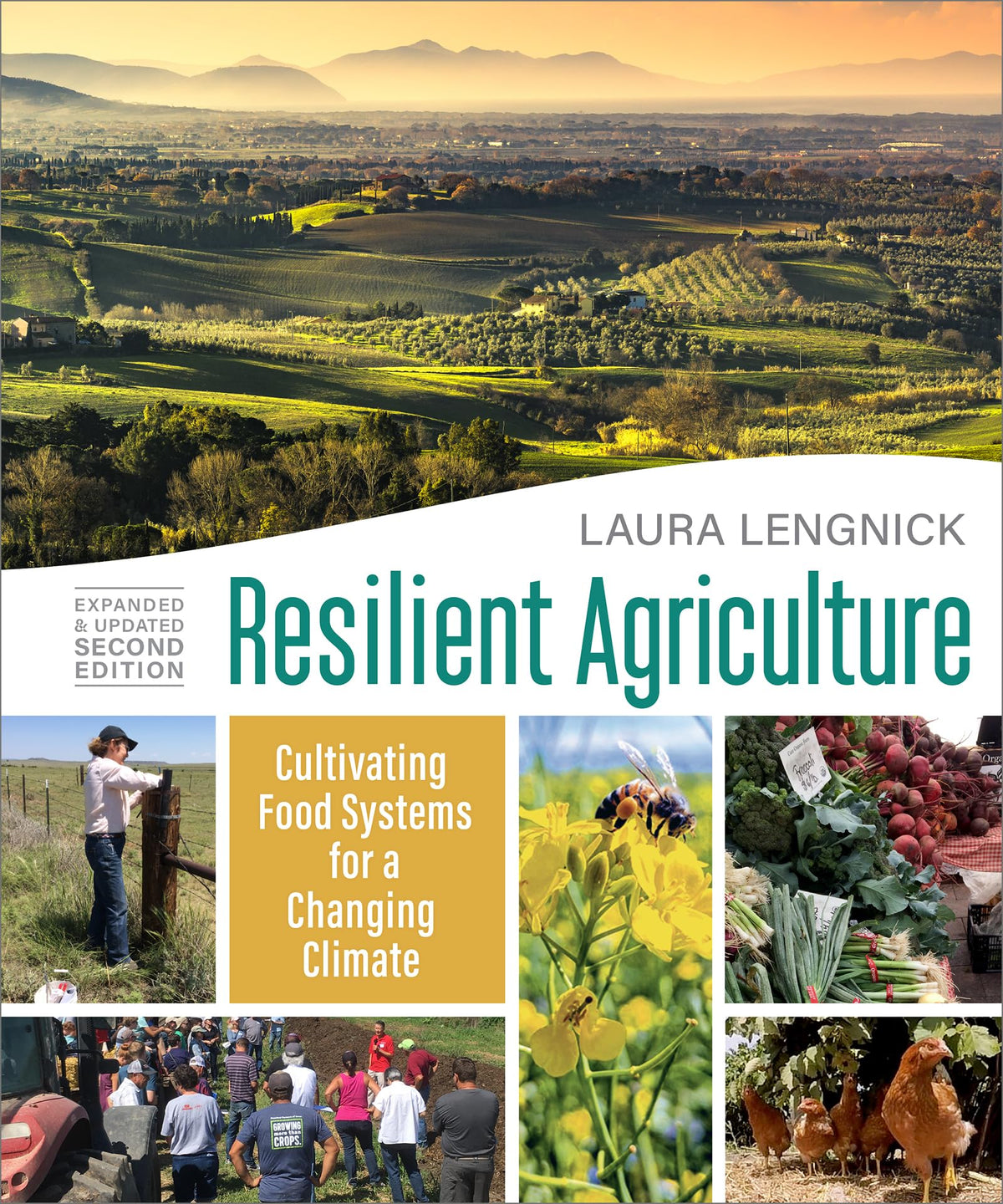 Resiliente Landwirtschaft: Anbau von Nahrungsmittelsystemen für ein sich änderndes Klima von Lengnick, Laura