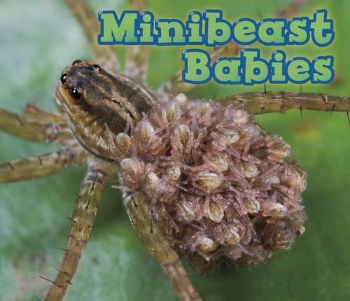 Tierbabys: Minibeast Babies von Catherine Veitch