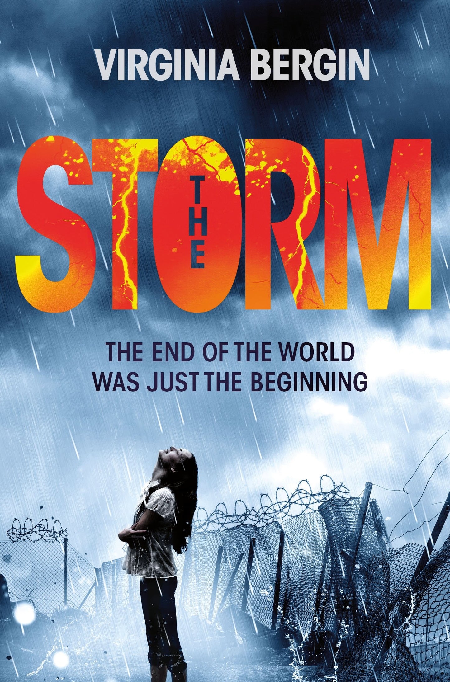 Storm von Virginia Bergin