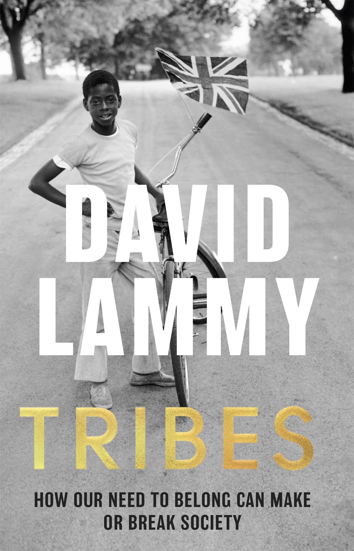Stämme: Die Suche nach Zugehörigkeit in einer gespaltenen Gesellschaft von David Lammy
