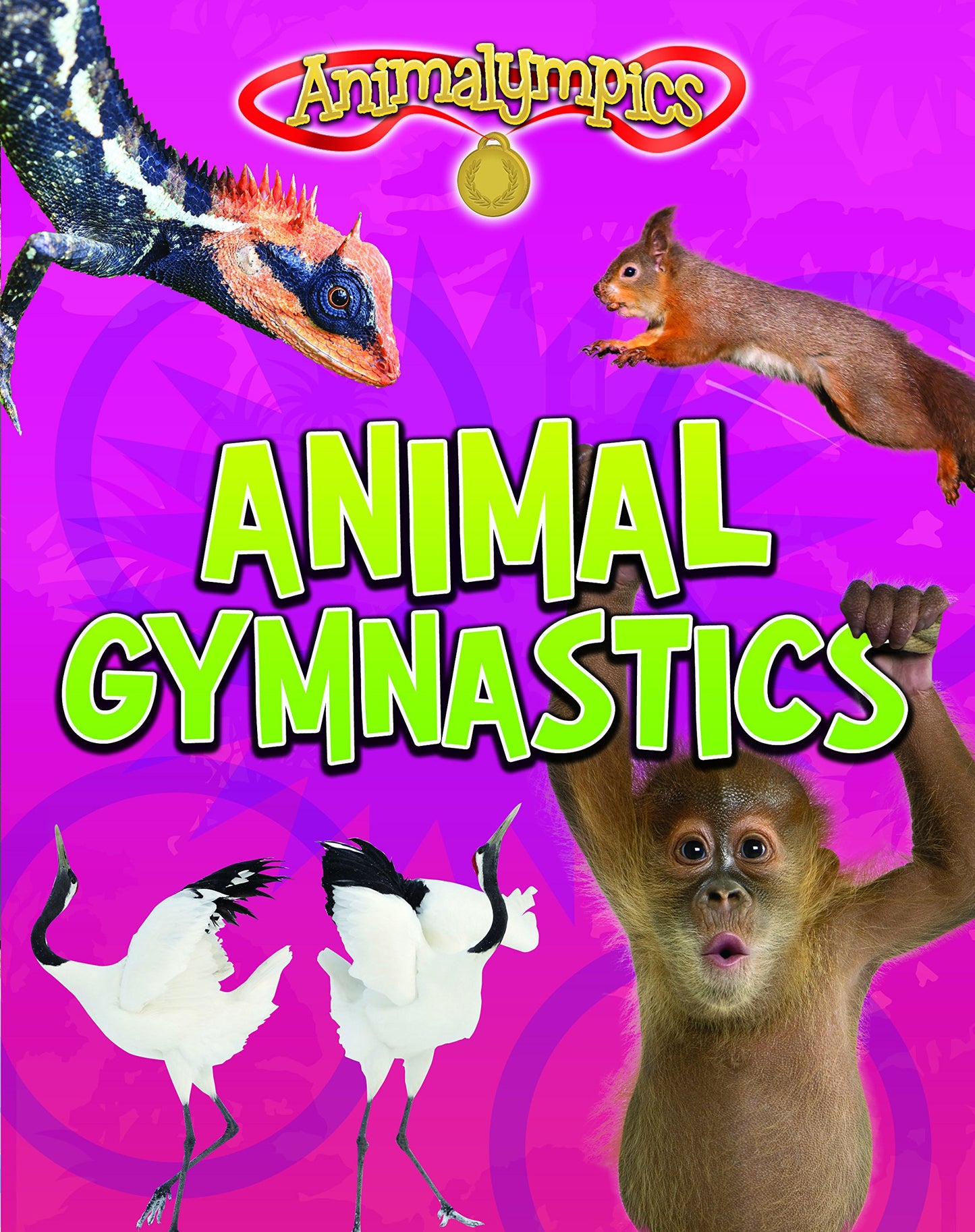 Animalympics: Tiergymnastik von Isabel Thomas