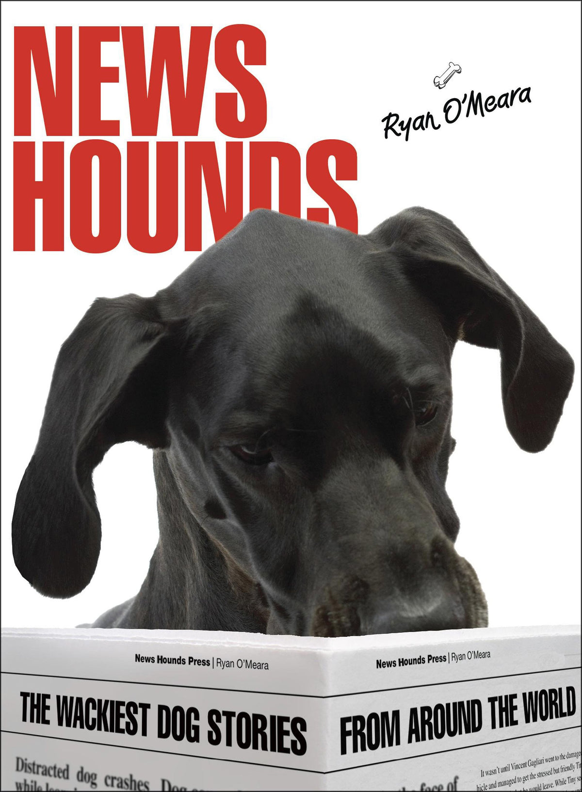 News Hounds: The Wackiest Dog Stories from Around the World by OMeara, Ryan