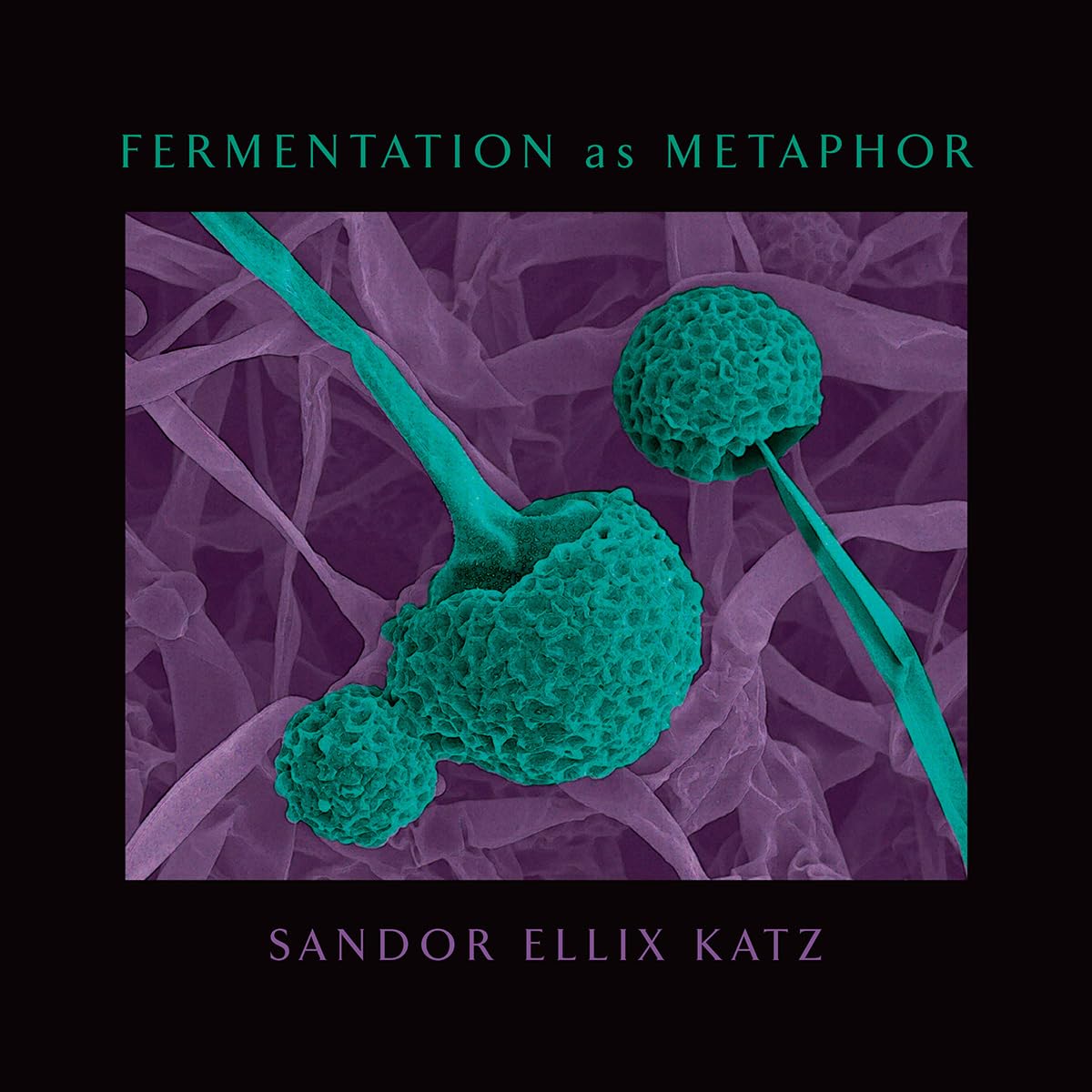 Fermentation als Metapher von Katz, Sandor Ellix