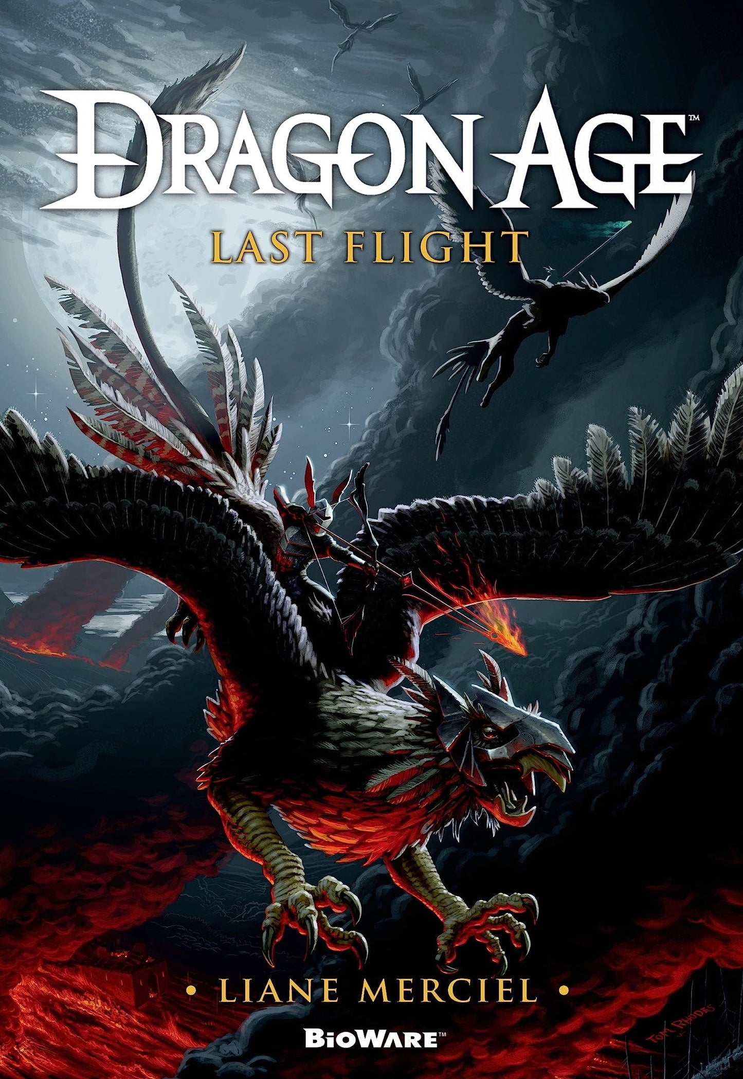 Dragon Age: Last Flight (abgenutzt) von Liane Merciel