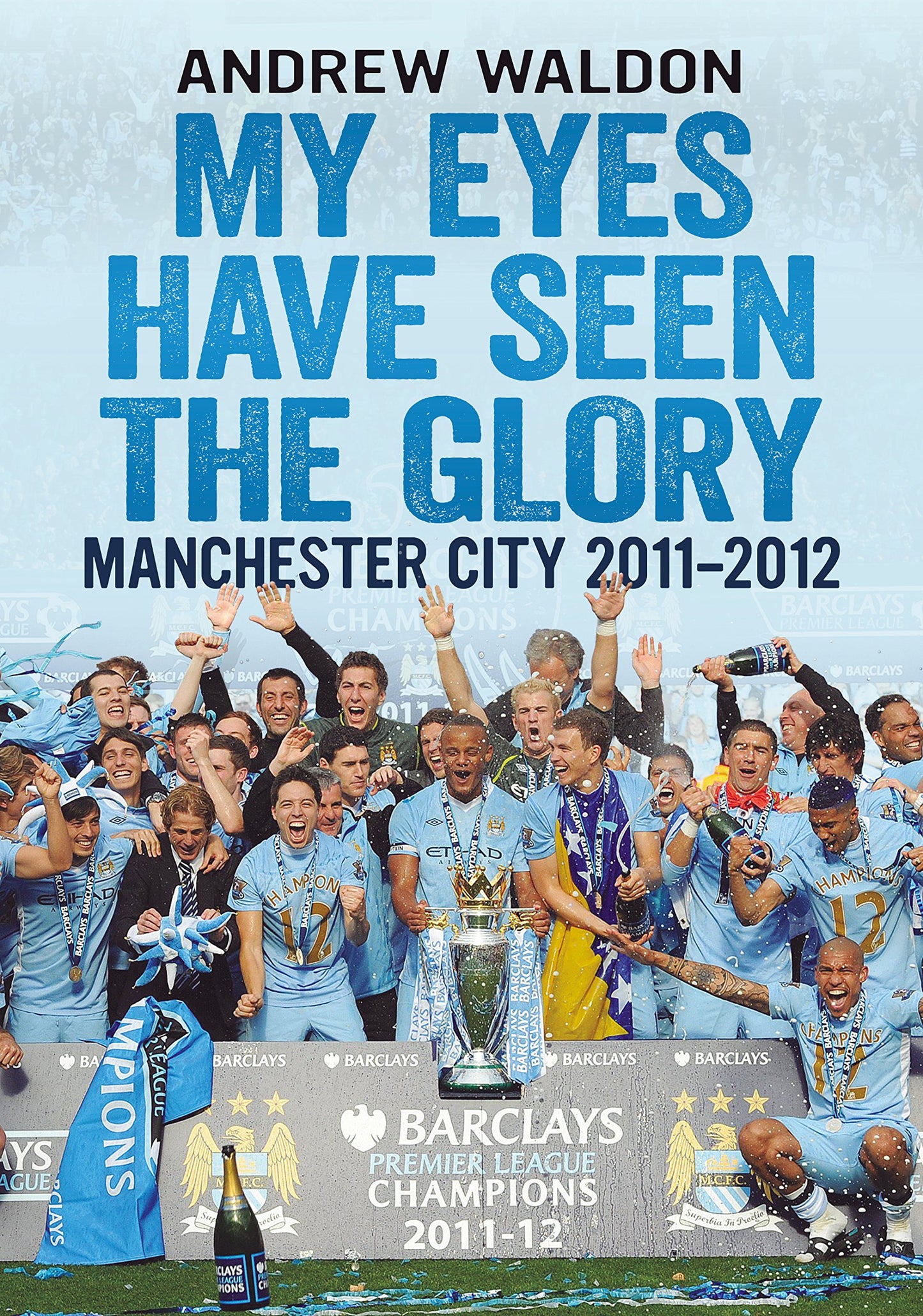 Meine Augen haben den Ruhm gesehen: Manchester City 2011-12 von Andrew Waldon