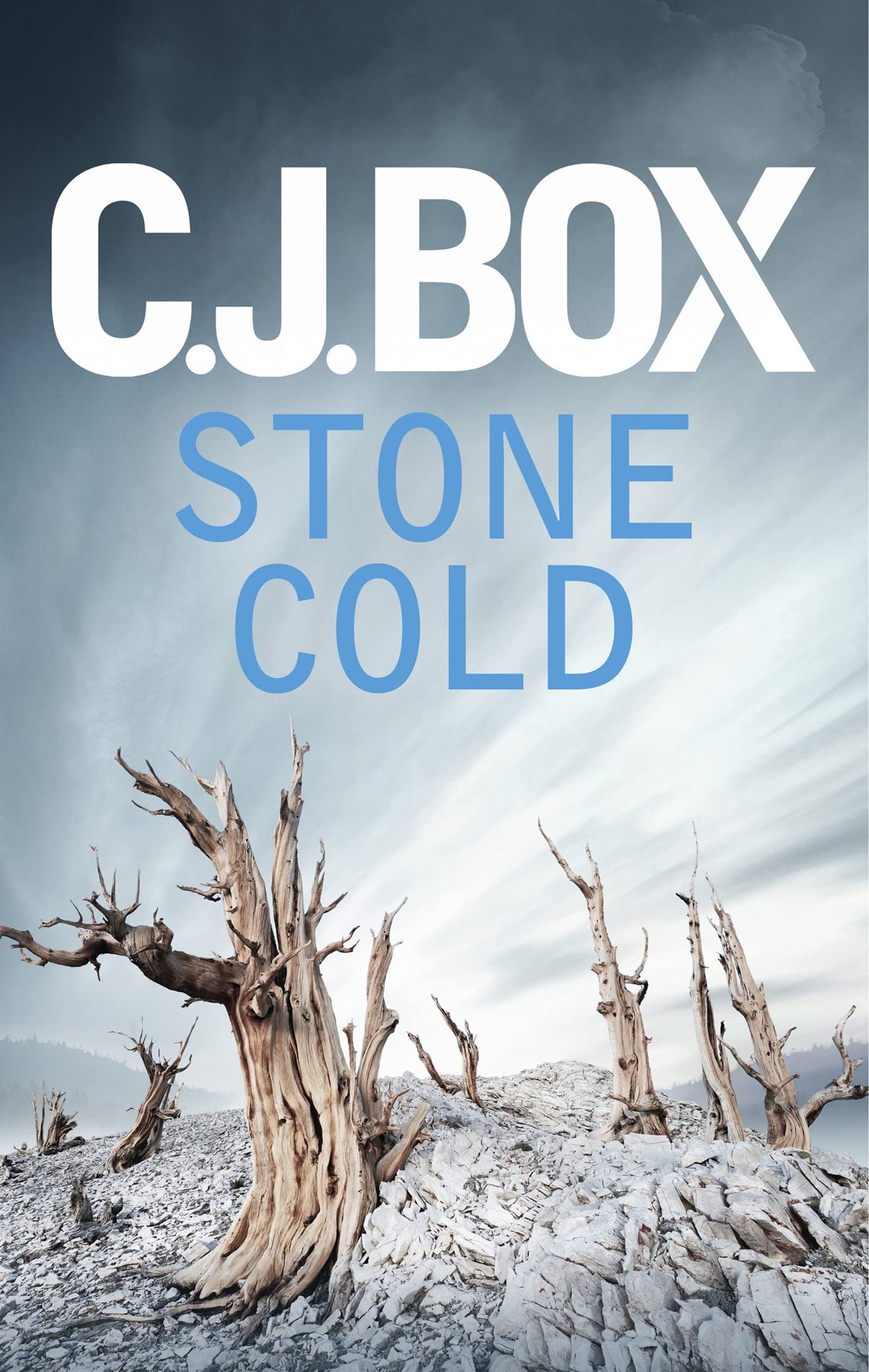 Stone Cold (Joe Pickett) von Box, CJ
