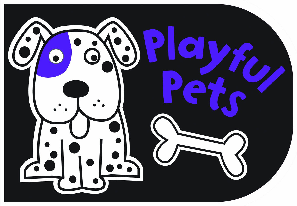 Black and White Playful Pets: Chunky Board Book by Brook-Piper, Holly