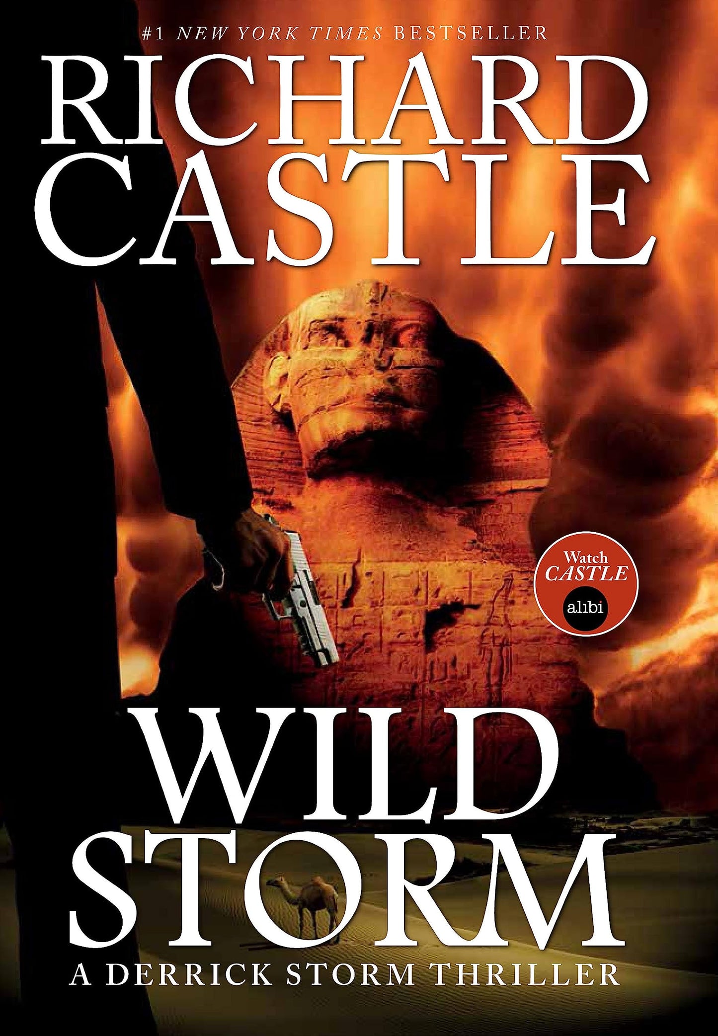 Wild Storm (abgenutzt) von Richard Castle