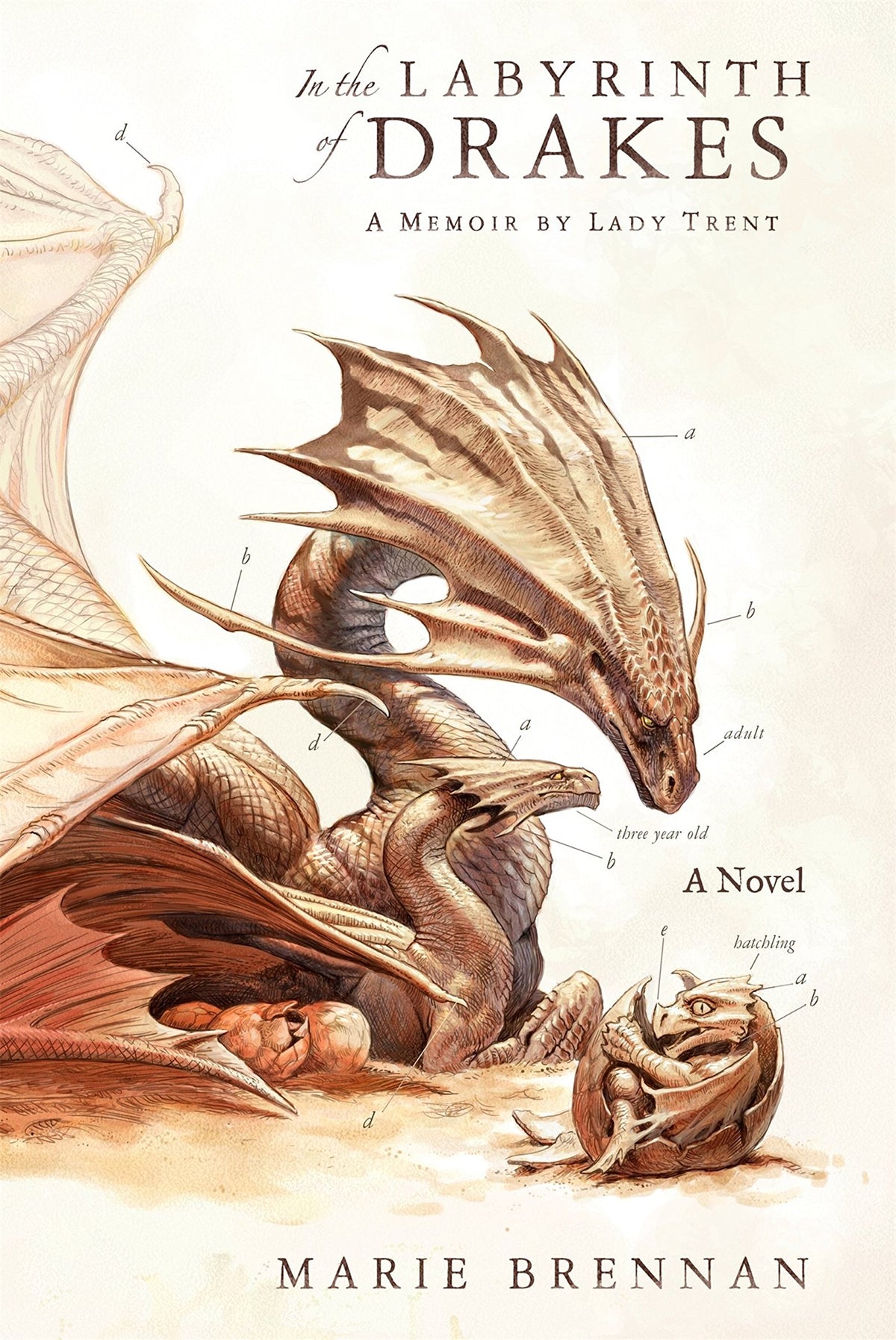 Im Labyrinth der Drakes von Marie Brennan