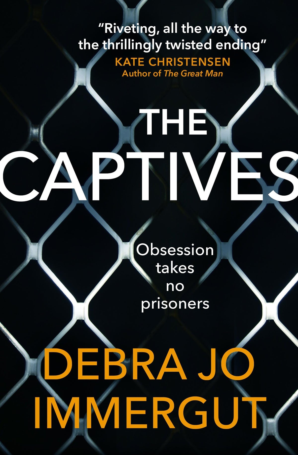 Captives by Debra Jo Immergut