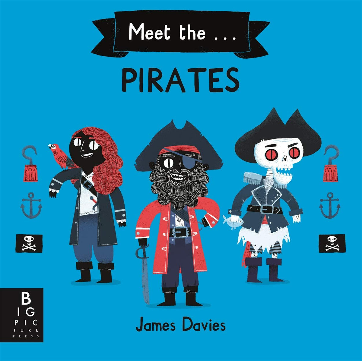 Triff die Piraten von James Davies