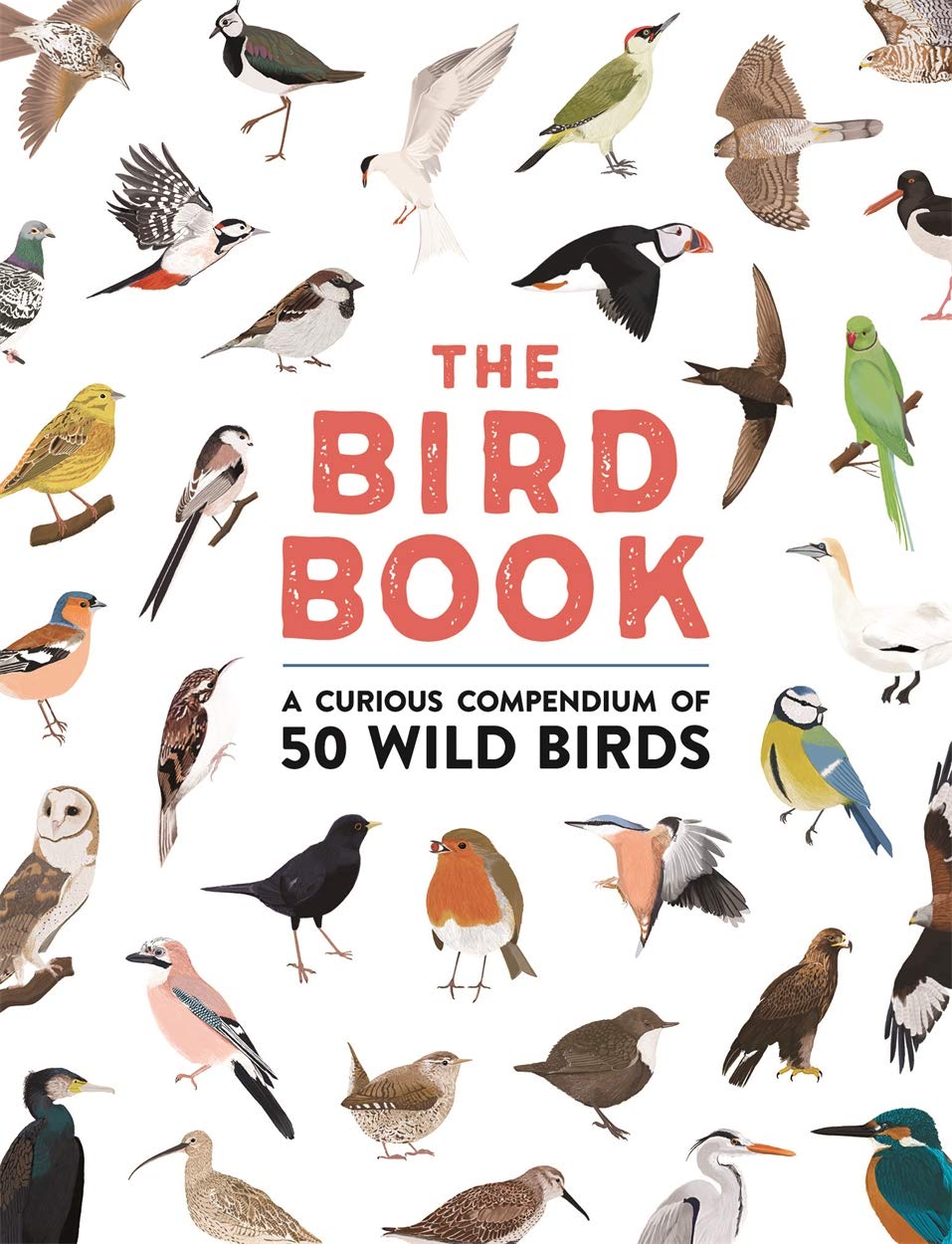 Das Vogelbuch: Ein interessantes Kompendium von 50 Wildvögeln von Meriel Lland | Roxanne Furman
