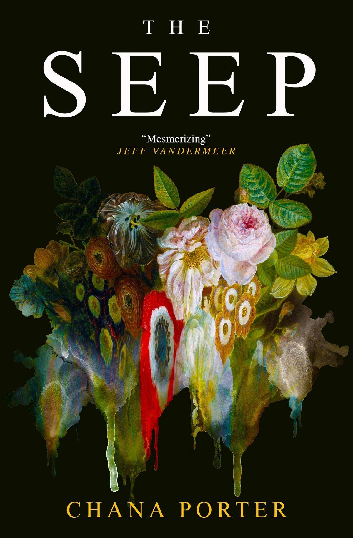 Seep (abgenutzt) von Chana Porter