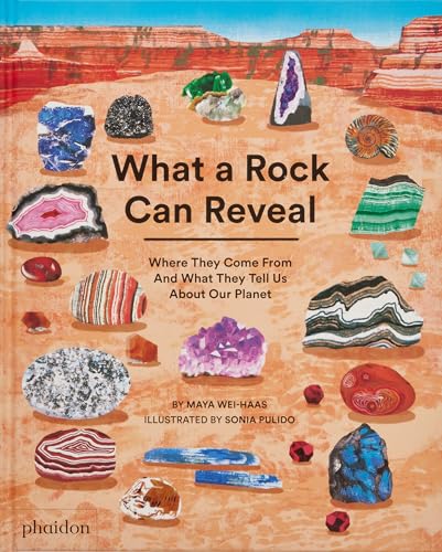 What a Rock Can Reveal: Where They Come From And What They Tell Us About Our Planet by Maya Wei-Haas