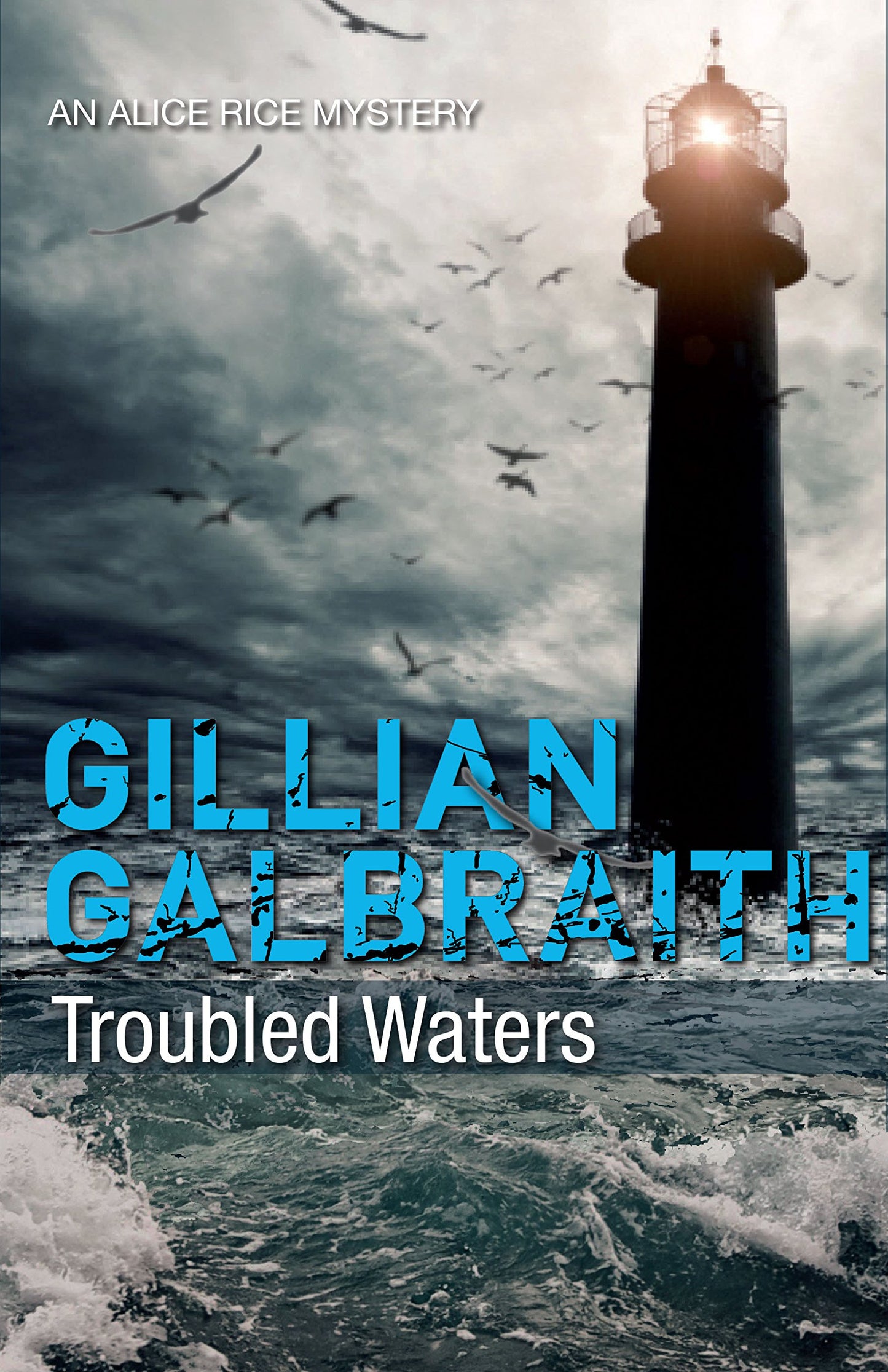 Troubled Waters: Ein Alice Rice Mystery von Galbraith, Gillian