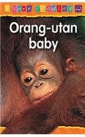 Ich liebe Lesen – Orang-Utan-Baby (Lila Stufe) von Monica Hughes