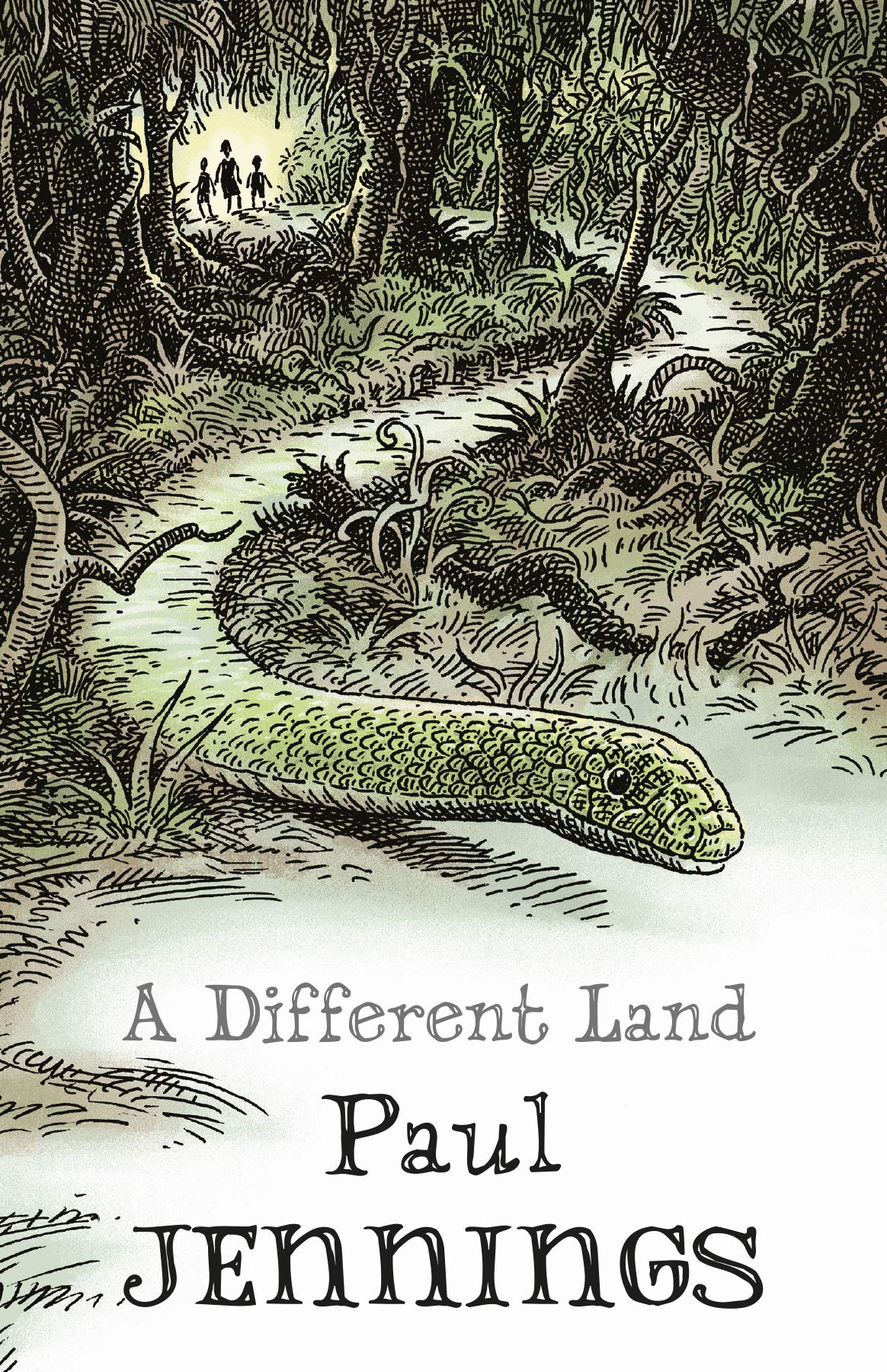 Different Land von Paul Jennings