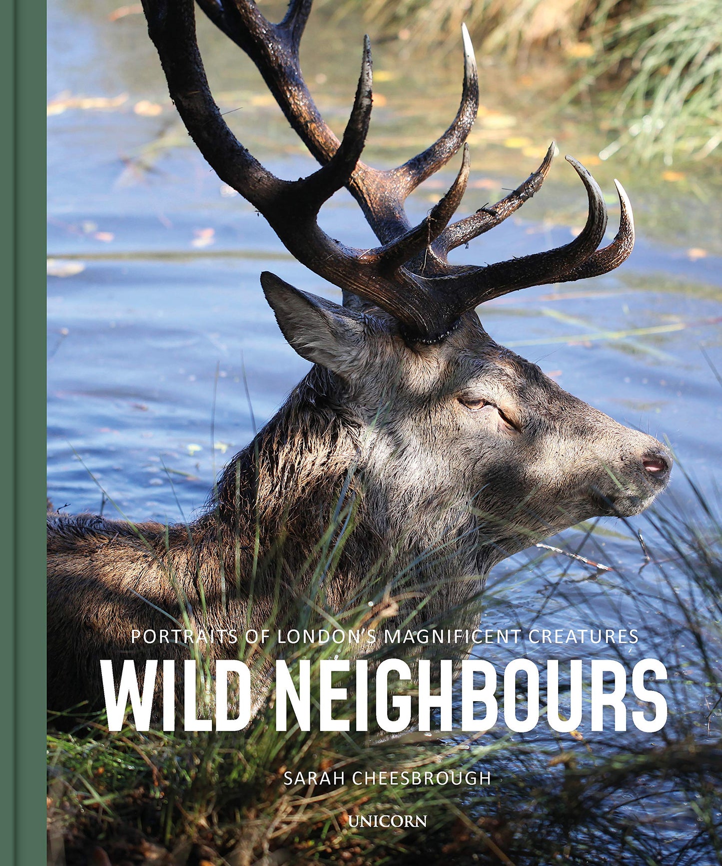Wild Neighbours: Portraits of London’s Magnificent Creatures by Sarah Cheesbrough