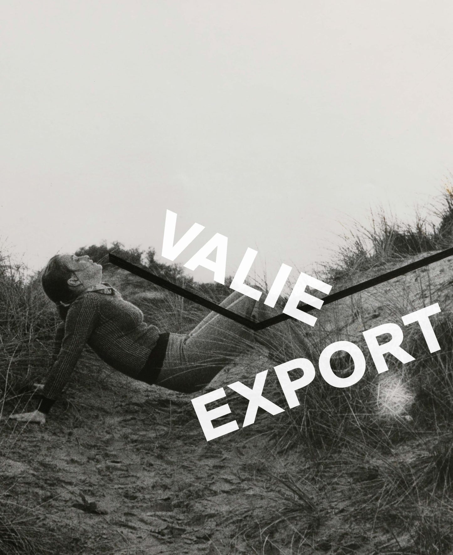 Valie Export von Moser | Walter (Hrsg.)