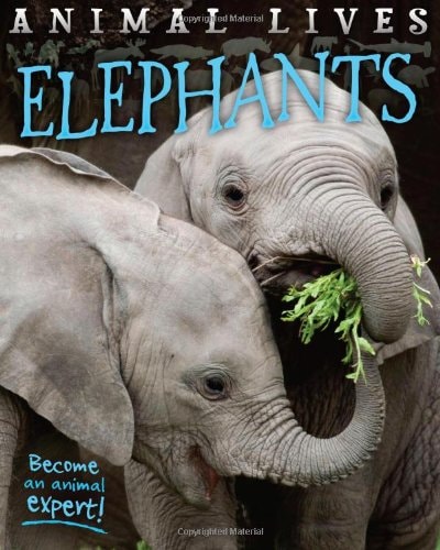 Animal Lives: Elephants by Sally Morgan