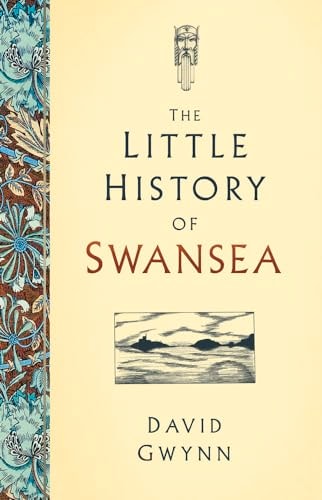 Kleine Geschichte von Swansea von David Gwynn