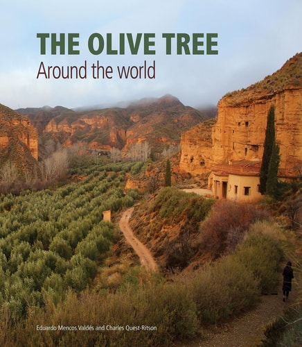 Olive Tree Around the World (slight shelf wear) by Charles Quest-Ritson