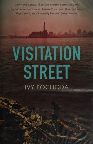 Visitation street by Pochoda, Ivy