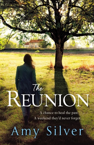 Reunion by Amy Silver