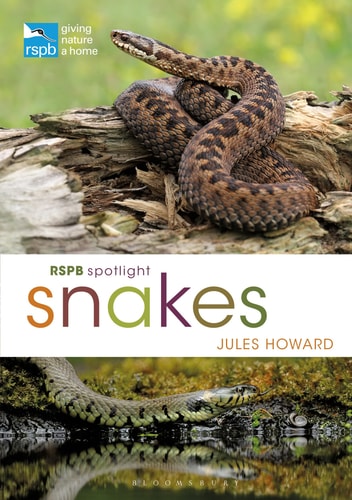 RSPB Spotlight: Snakes by Jules Howard