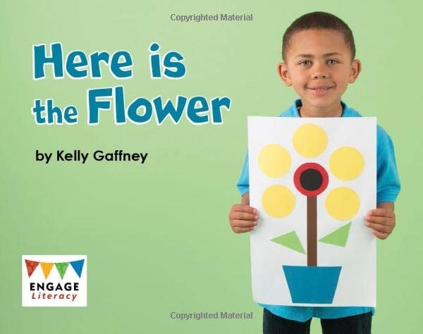 Here is the Flower (Engage Literacy: Engage Literacy Pink) by Kelly Gaffney