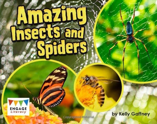 Amazing Insects and Spiders (Engage Literacy: Engage Literacy Turquoise - Extension A) by Kelly Gaffney