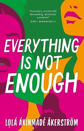 Everything Is Not Enough by Lola Akinmade Akerstrom